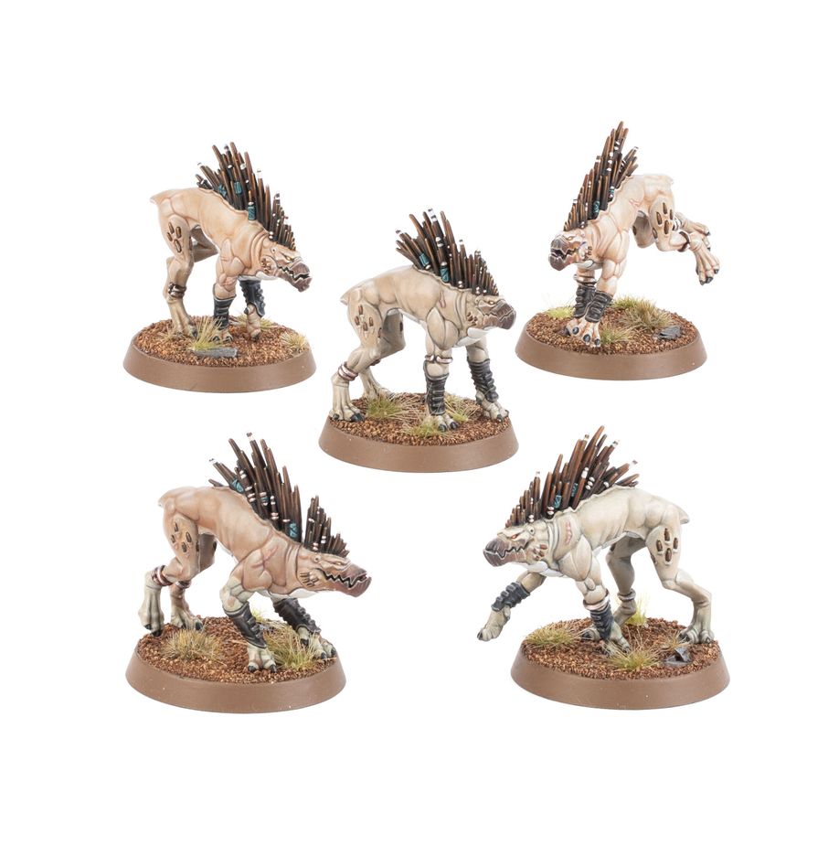 Kroot Hounds - Táu Empire