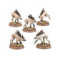 Kroot Hounds - Táu Empire