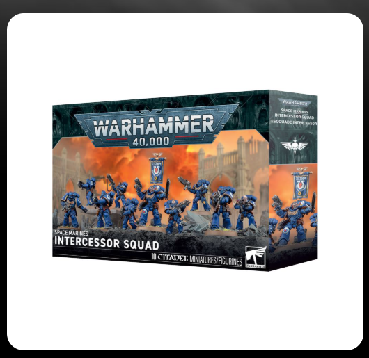 Intercessor Squad - Space Marines - WH40K